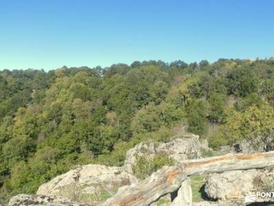 La Dehesa Bonita - Abedular de Somosierra; federacion montañismo senderismo en segovia parque natura